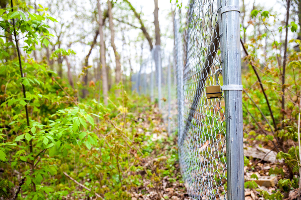 Post-Driven Fence Rental in Bloomingdale, IL
