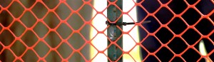 Orange Construction Fence