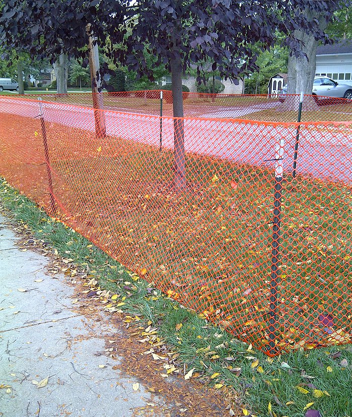 Orange Tree Protection, Orange Fence