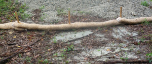 Sediment Control Logs