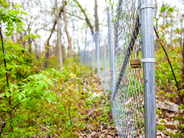 Gate Rental in Bloomingdale, IL - Wooded Gate Entry