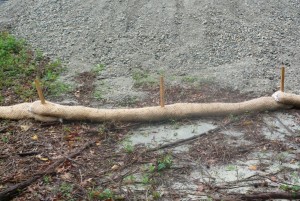 Sediment Control Log