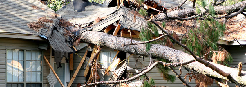 Handling Storm Damage in Chicago, IL
