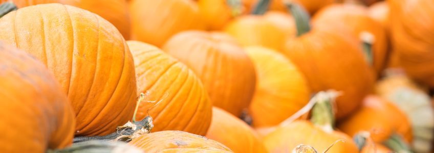 Fall Festival Event Fence Rental